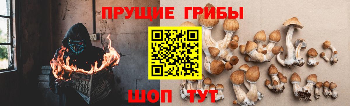 Галлюциногенные грибы Magic Shrooms Малгобек