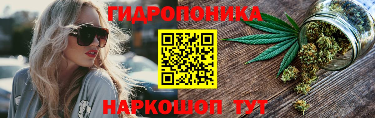 МАРИХУАНА семена  Вход с VPN  Марихуана OG Kush  Конопля индика  Канабис Amnesia  Малгобек 